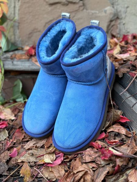 Синие замшевые сапоги UGG 1237 фото