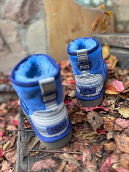Сині замшеві чоботи UGG 1237 фото